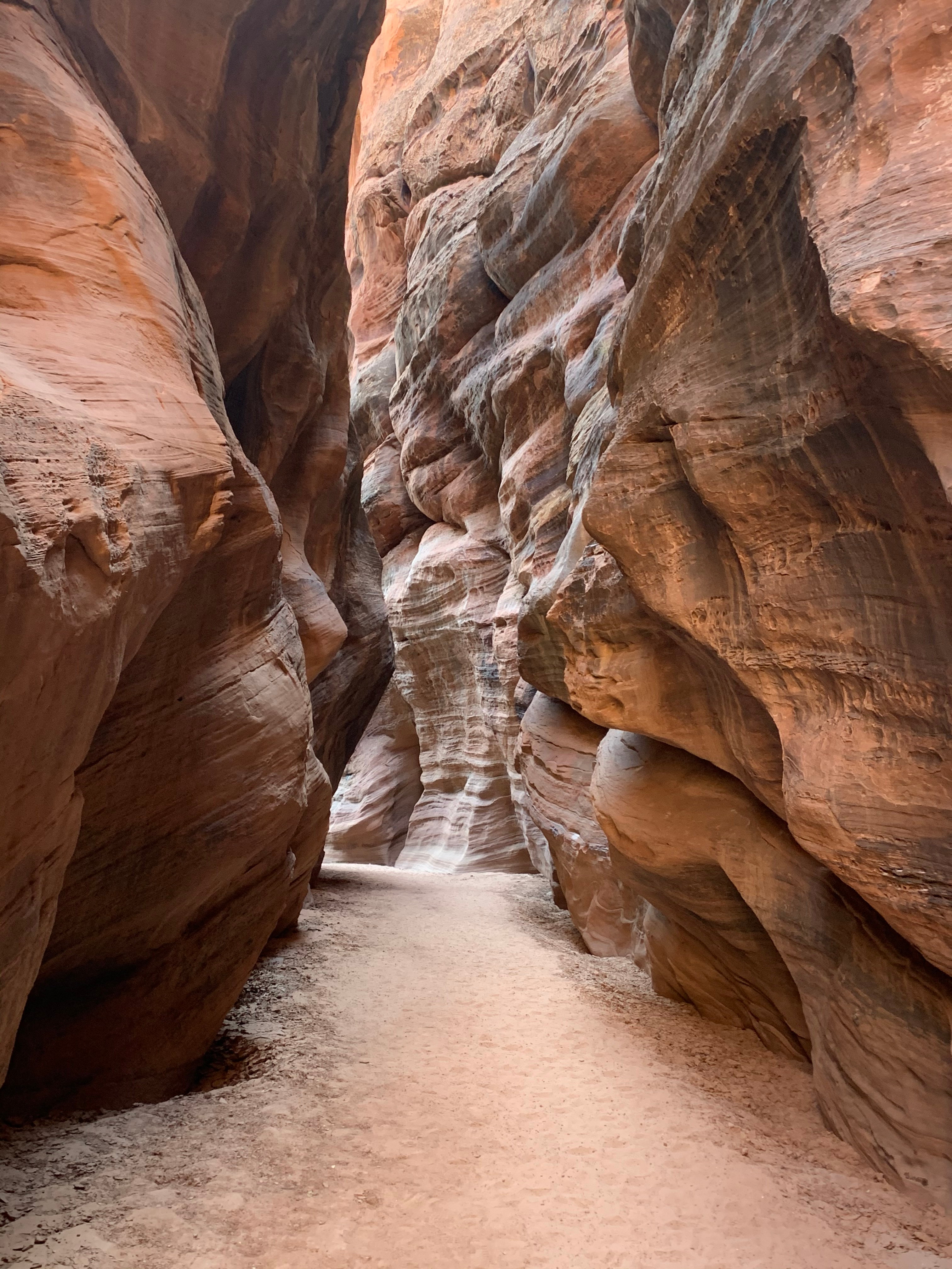 Vermillion Cliffs NM
